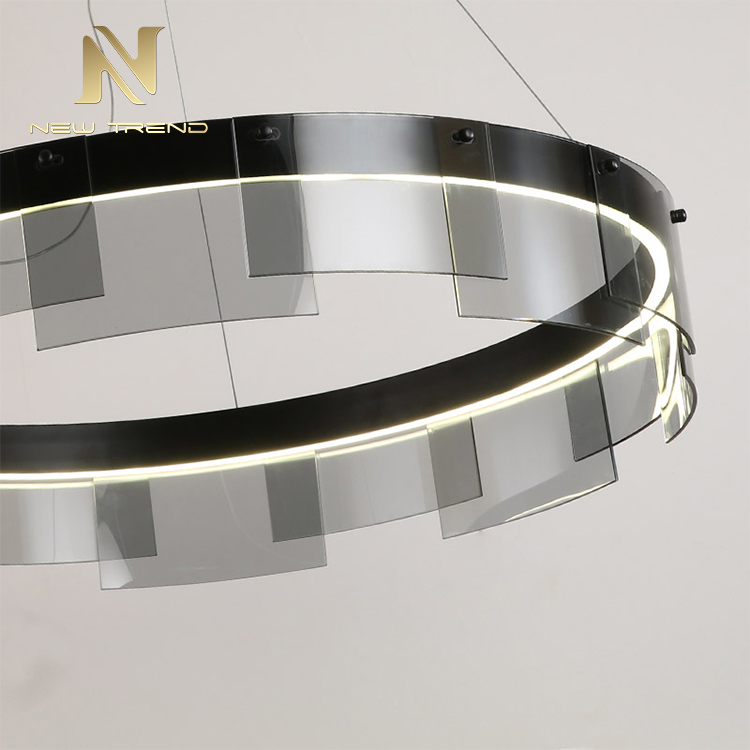 High quality residential decoration black color aluminum ring frame modern led pendant light PYQ8245