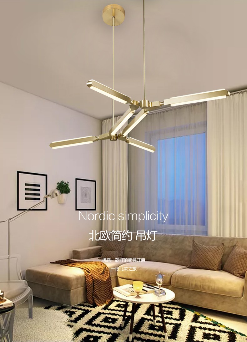 Nordic simple aluminum acrylic living room Chandelier D5564