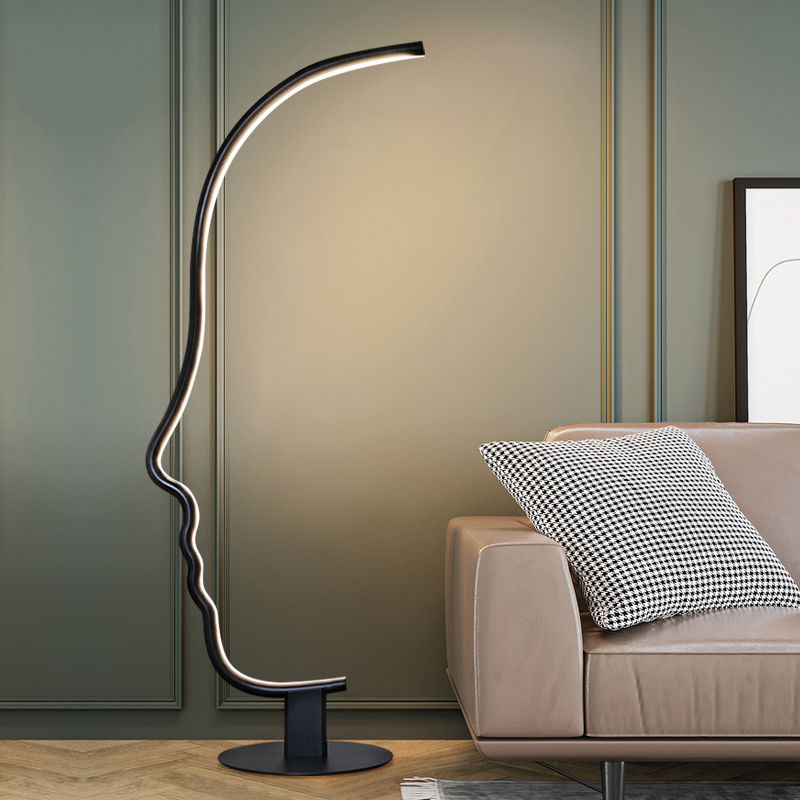 Nordic simple hardware face line Abstract living room art floor lamp FT142