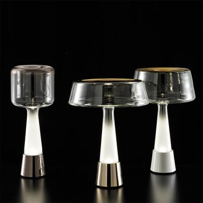 Simple Nordic iron glass modern art led table lamp T170