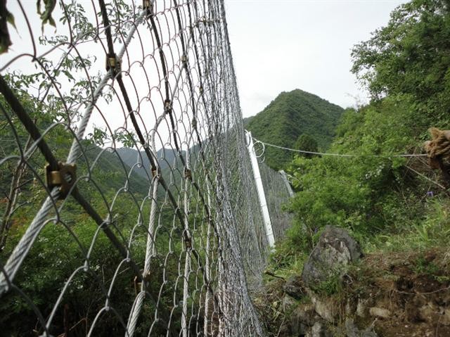 广元被动防护网RXI050