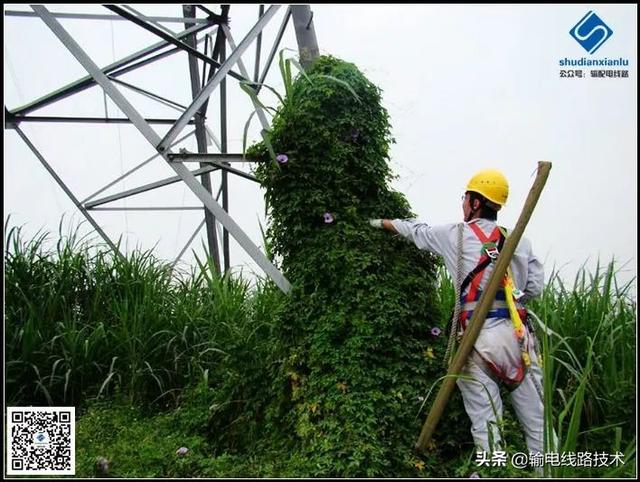 图文详解架空输电线路机巡精细化巡视检查主要内容