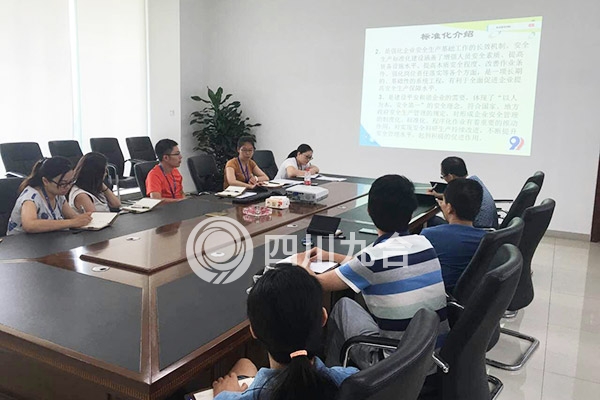 成都华光瑞芯微电子股份有限公司启动会-标准化