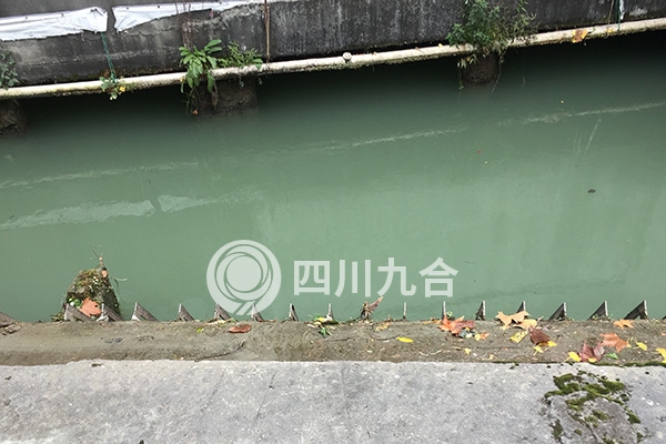 成都双流区彭镇水力发电有限公司