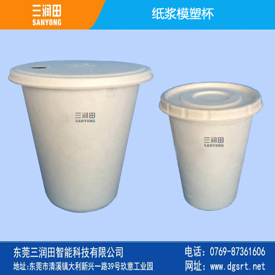 Pulp Molded Paper Cup