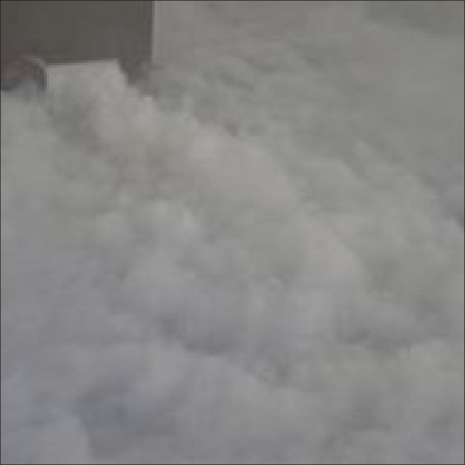 HI001 600W double fog machine