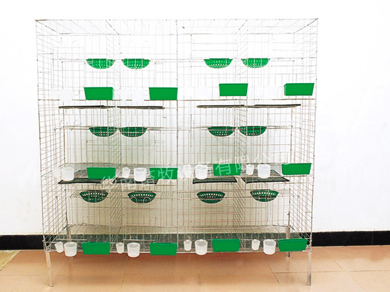 White pigeon cage equipment