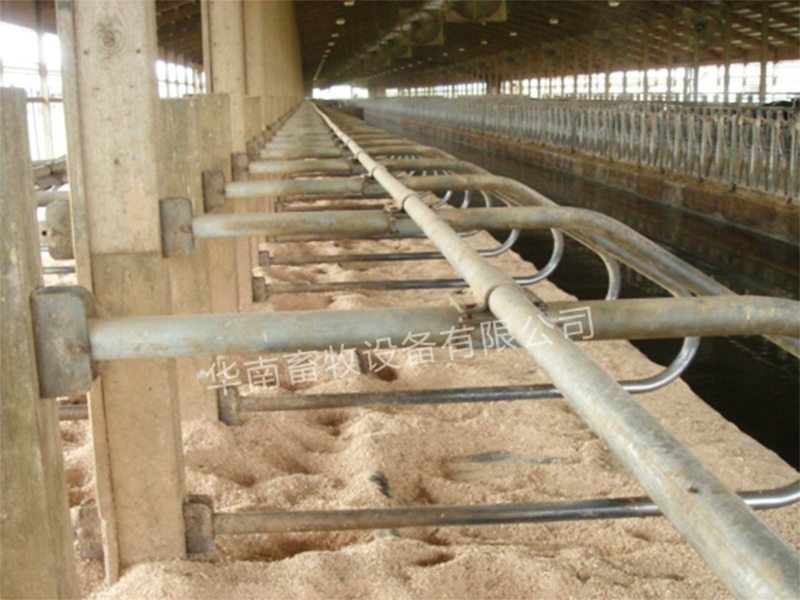 Cattle breeding equipment