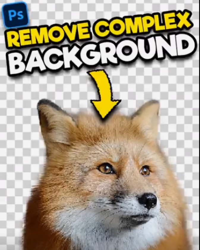 1724653907480008871.png
