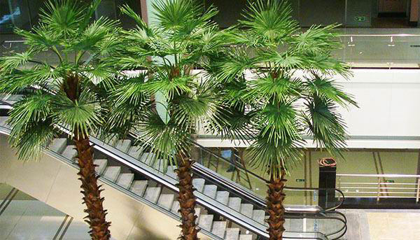Simulation of palm trees