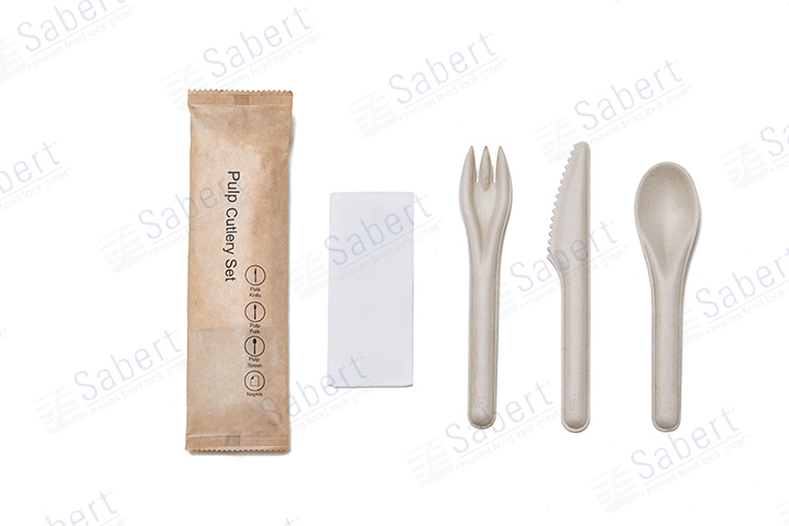 4 in 1 Pulp cutlery kit(F/K/S/N)