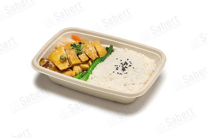600 ml Pulp rect. container