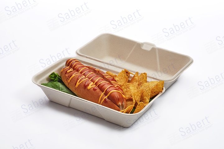 5X10 Hinge hoagie container