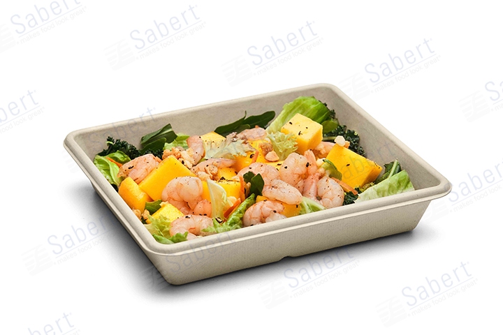 SBK 6X8 salad  tray