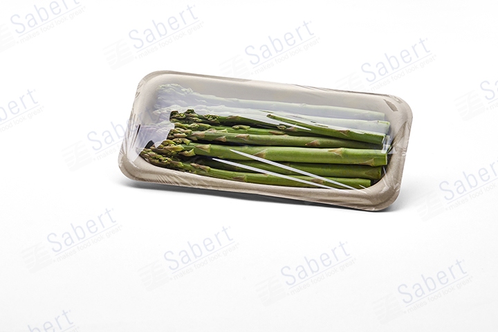 4X8 Rectangle tray