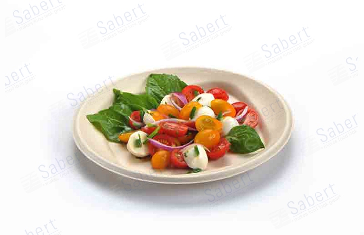 9 in Pulp round plate  