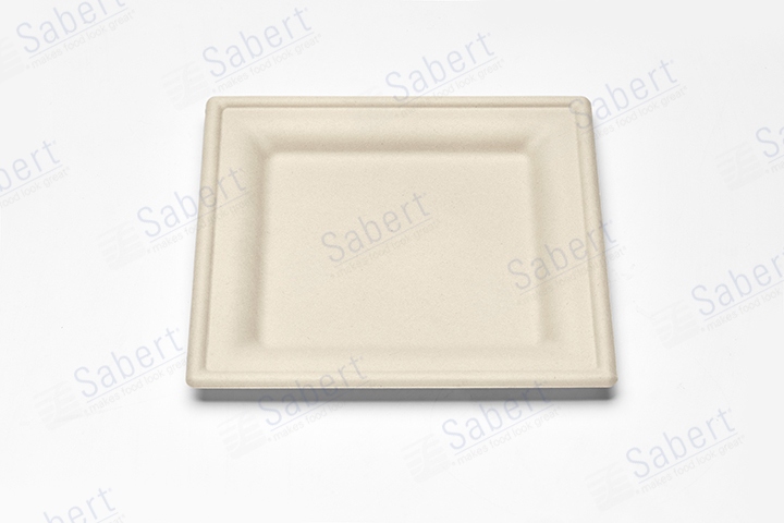 20 cm Pulp square plate