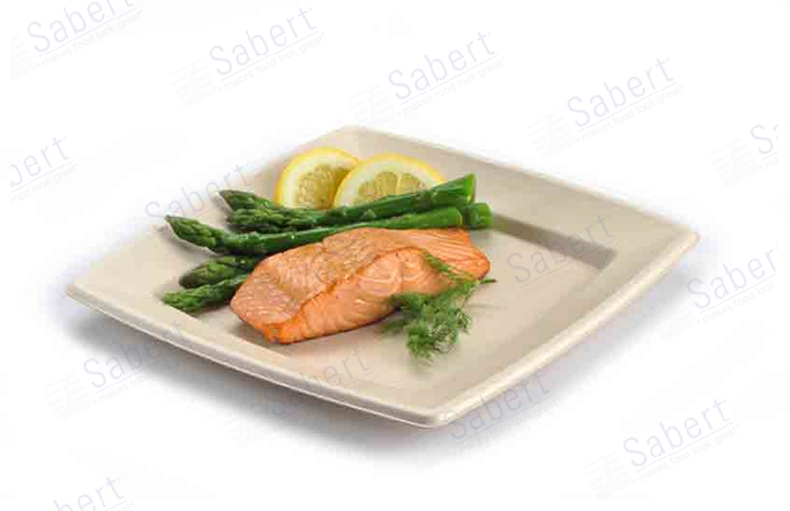 10 in Pulp square plate