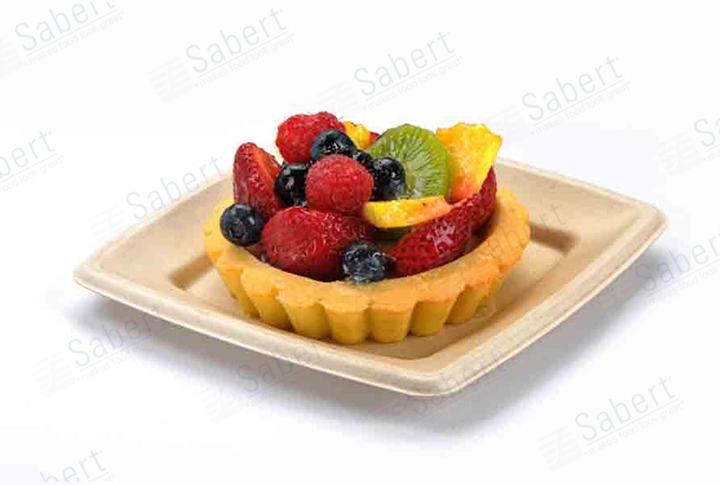 6 in Pulp square plate