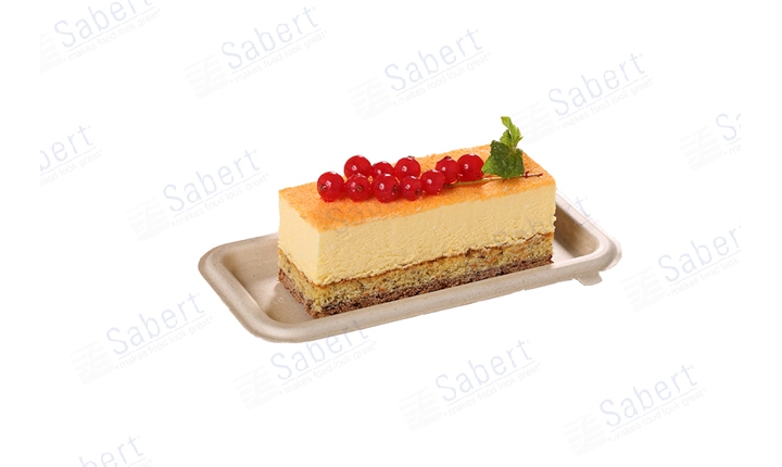 9X17 cm Rect. cake tray