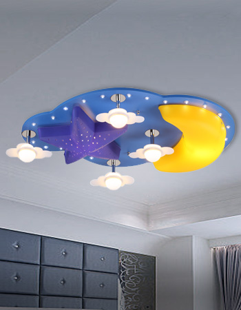 Ceiling Lamps