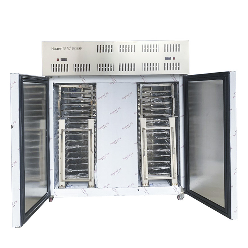 CE large fish -80 degree big mobile shock blast freezer for sale