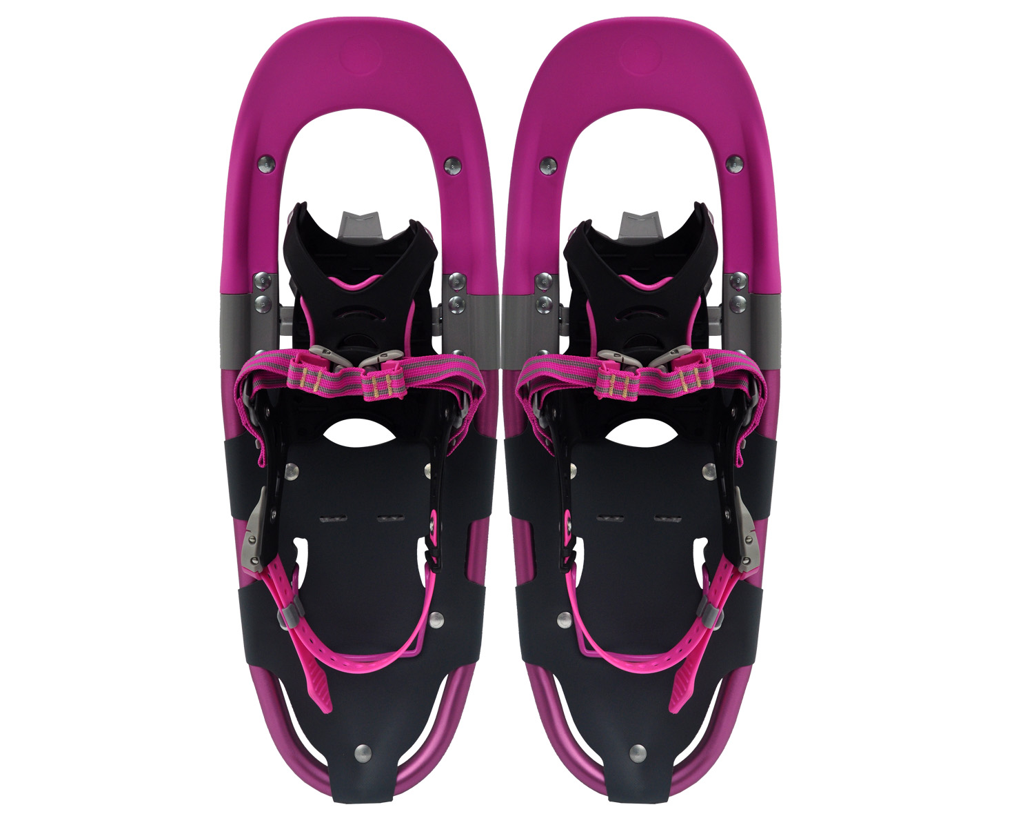 Hybrid snowshoes