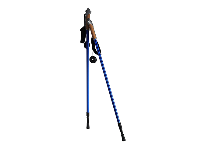 Aluminum Two Sections Walking Stick