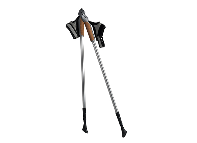 Aluminum Two Sections Walking Stick