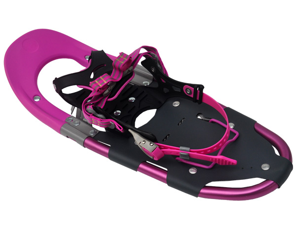 Hybrid snowshoes