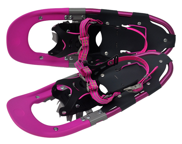 Hybrid snowshoes