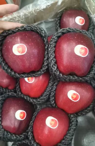 Imported Chilean fortified apples