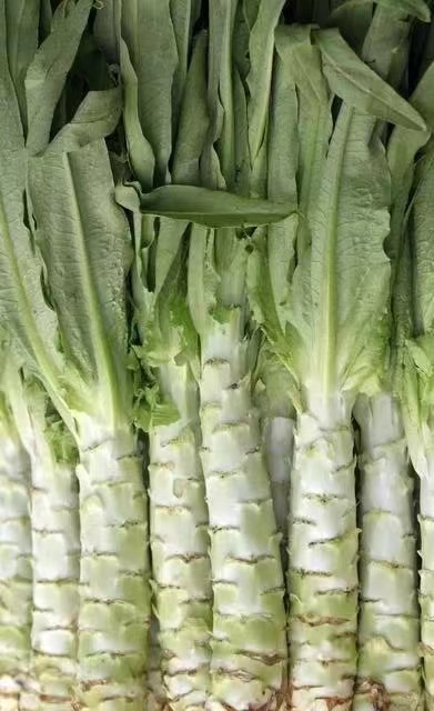 asparagus lettuce
