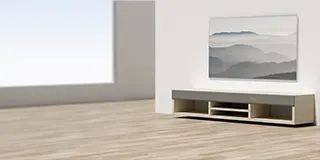 Audio Furniture System Solutions